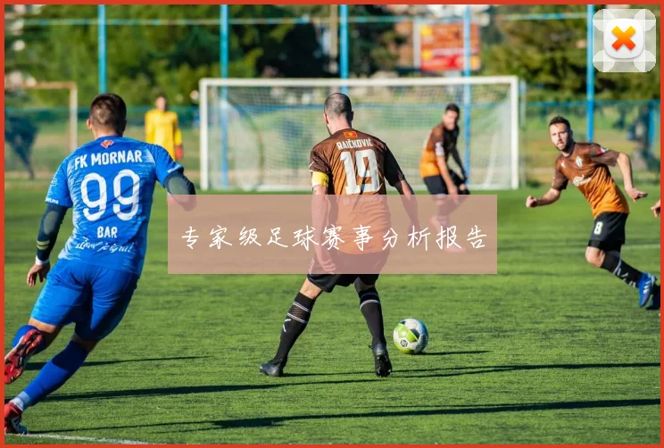 专家级足球赛事分析报告