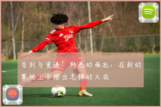 告别与重逢!熟悉的面孔,在新的赛场上会擦出怎样的火花