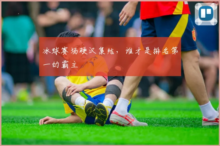 冰球赛场硬汉集结，谁才是排名第一的霸主