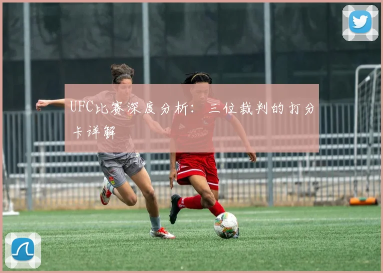 UFC比赛深度分析：三位裁判的打分卡详解