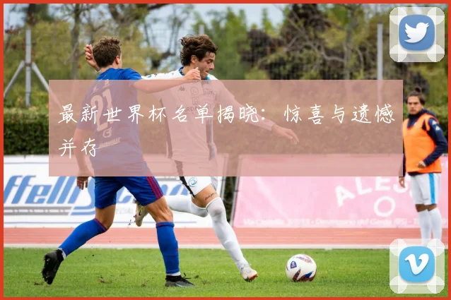 最新世界杯名单揭晓:惊喜与遗憾并存