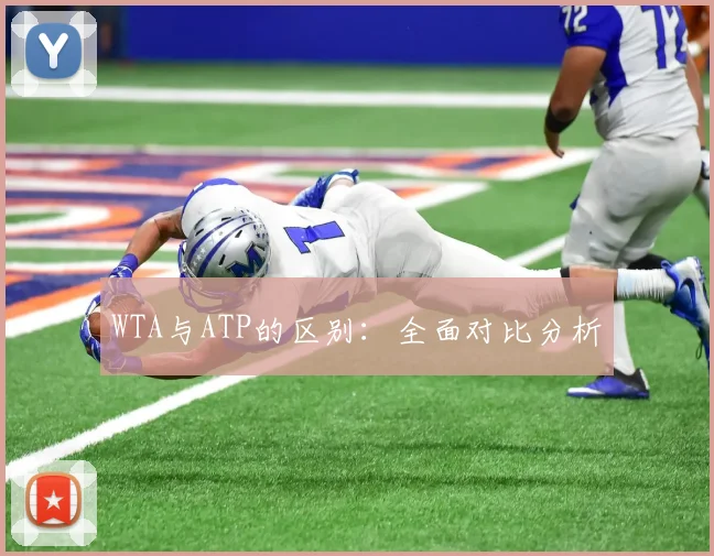 WTA与ATP的区别:全面对比分析