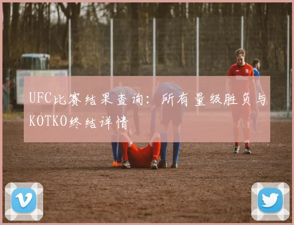 UFC比赛结果查询:所有量级胜负与KOTKO终结详情